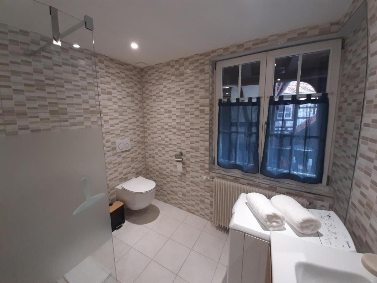 Apartamento Dock 23 Colmar Exterior foto